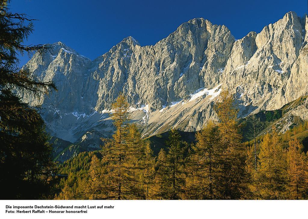 Apartment Appartementhaus Evelyn Schladming